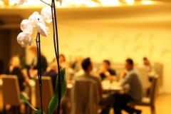 534274_442873695765471_781232849_n-1