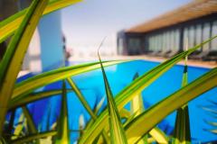 IMG_20250424_103647