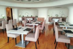 IMG_20250610_164539_edit_403698929985790-scaled