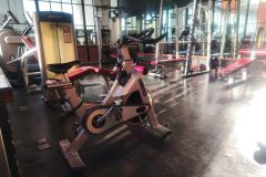 IMG_20250610_165414_1_edit_403427031900320-scaled