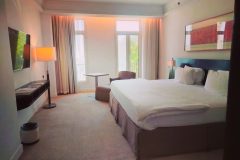 IMG_20250611_104341-scaled